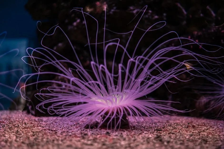 Life in the Depths: Adaptations to Extreme Stagnation (Image Credits: Pexels)