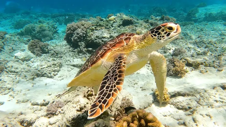 #8: Sea Turtles Are Keystone Species That Shape the Ocean's Health (Image Credits: Pexels)