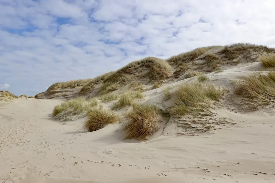 When Dunes Disappear, Communities Lose Their Shield (Image Credits: Unsplash)