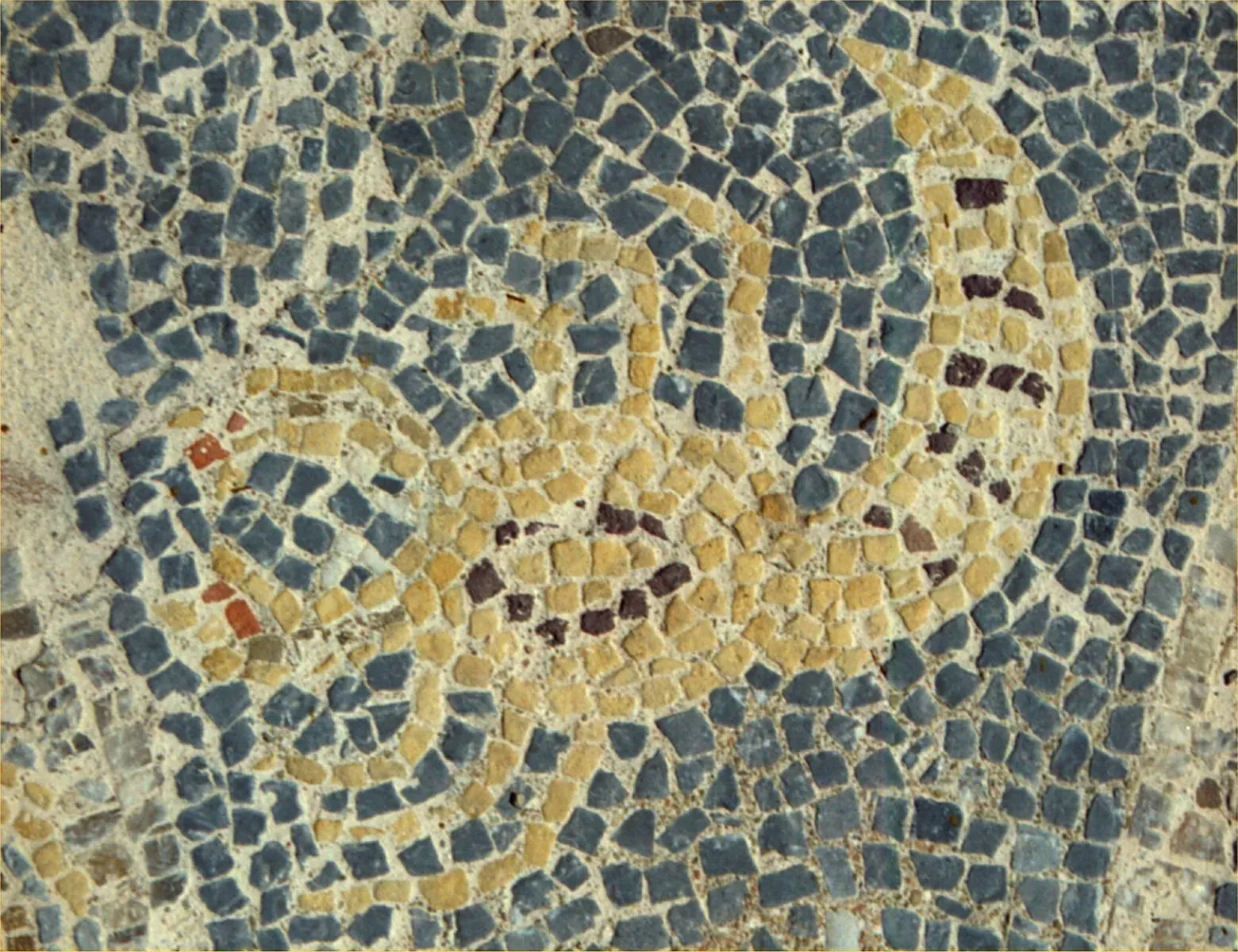 Scorpio: The Mystical Observer (Image Credits: Wikimedia)
