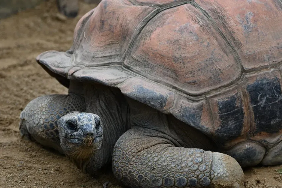 #5: What Long-Lived Animals Reveal About the Future of Human Health (Image Credits: Pexels)