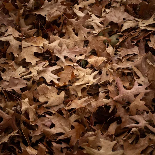 4. Create Shelter With Layers, Logs, and Leaf Litter (Image Credits: Pexels)
