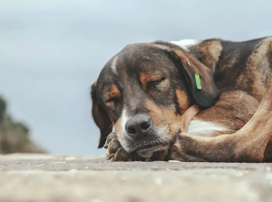 Your Sleep Quality Can Improve Without Changing Anything Else (Image Credits: Pexels)