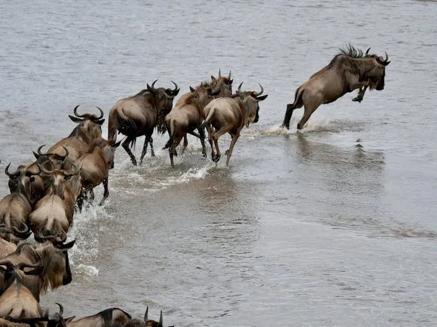5. Animals Are Shifting to New Habitats and Time Zones (Image Credits: Pexels)