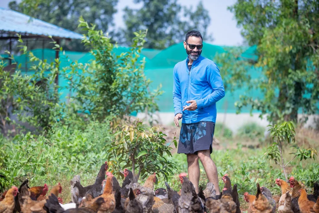 #10 - Chickens That Choose Favorite Humans (Image Credits: Unsplash)