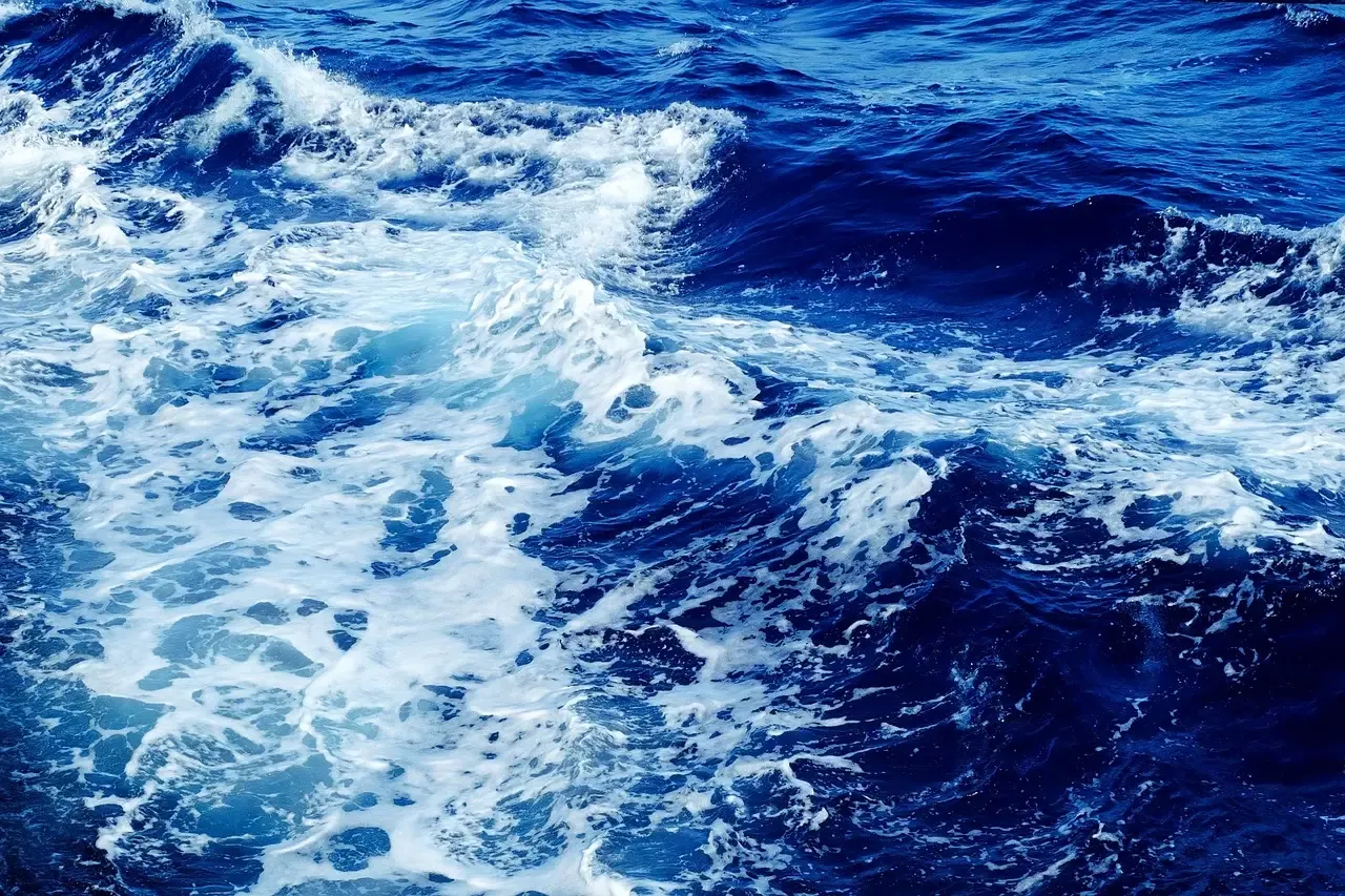 Watering Shallowly and Too Often (Image Credits: Pixabay)
