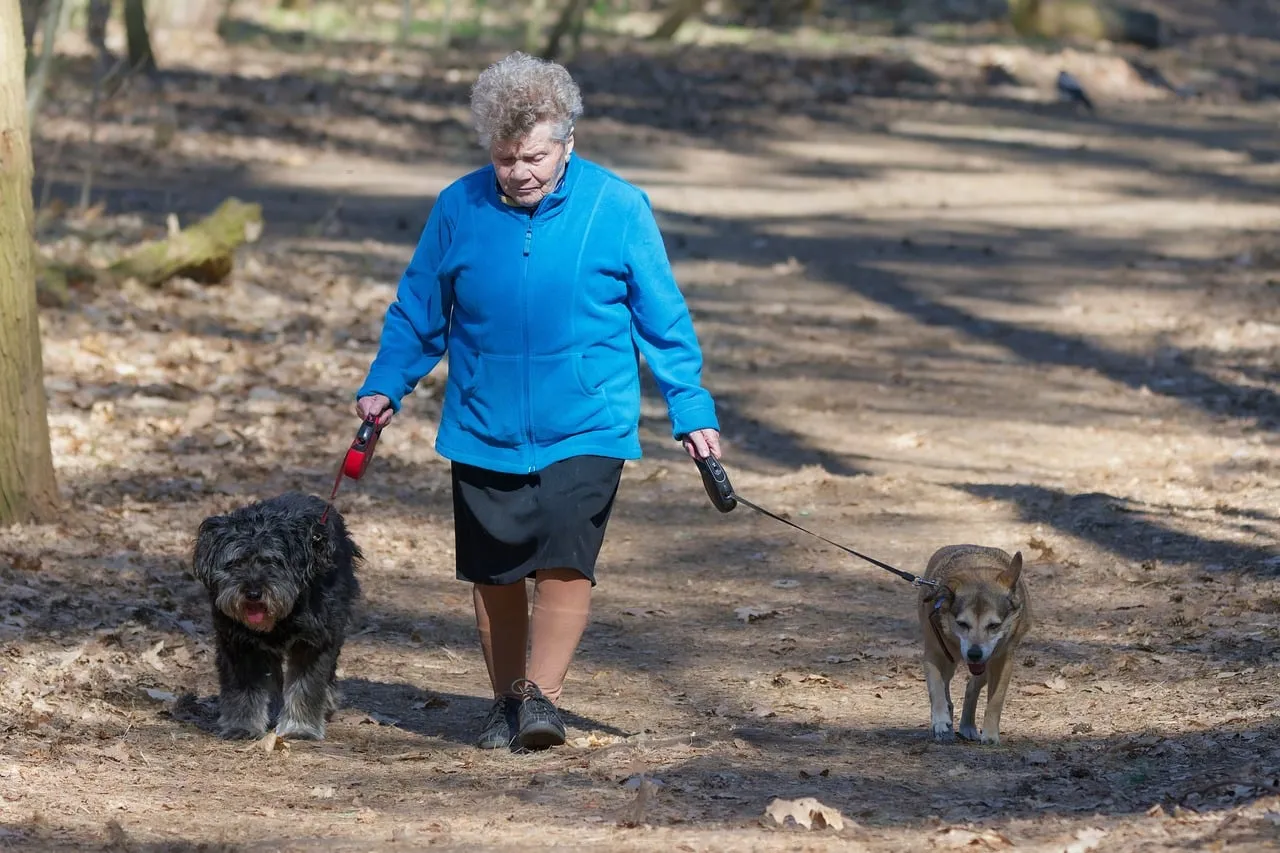 #8 - Cooler Weather Tempts Owners to Push Exercise Too Hard (Image Credits: Pixabay)