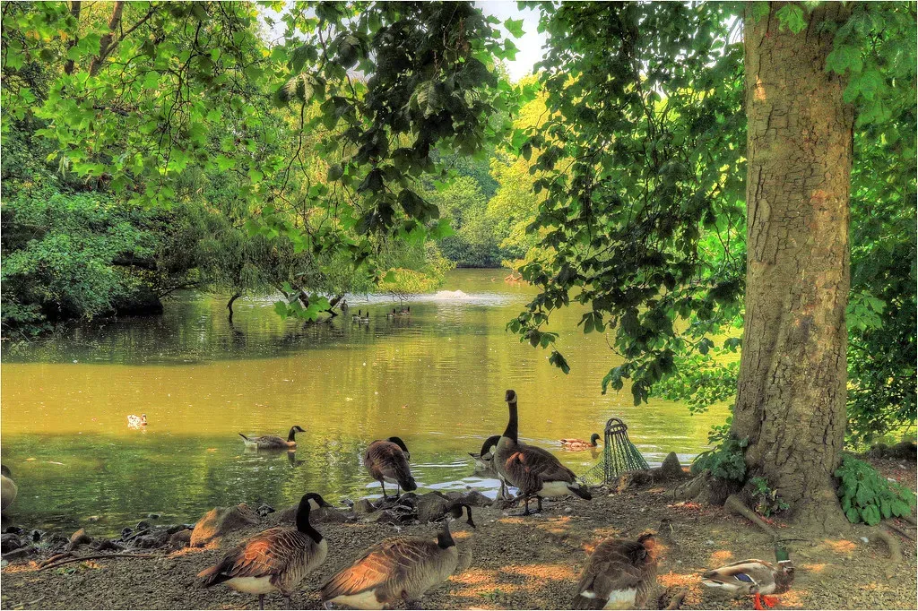 Seeking more sheltered spots than usual (Image Credits: Flickr)