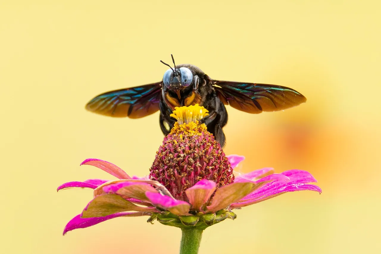 #7 - Insects Have Crashed, And The Birds Crashed Right Behind Them (Image Credits: Pixabay)