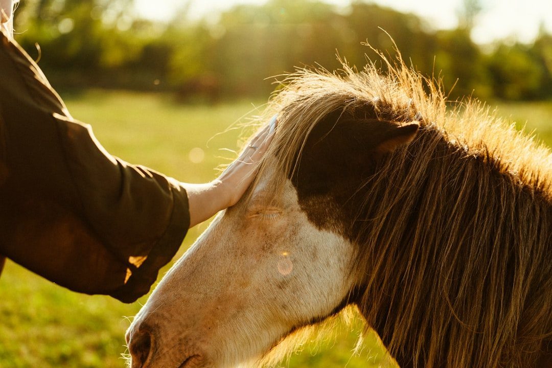 Emotional Wisdom and Healing Power (Image Credits: Unsplash)