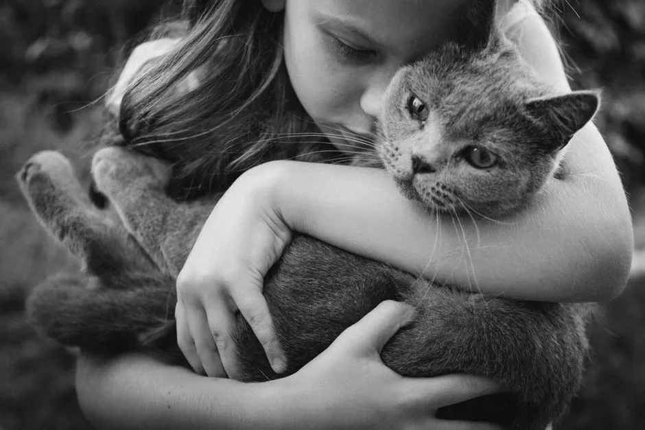 The Science Behind Feline Emotional Radar (Image Credits: Pexels)