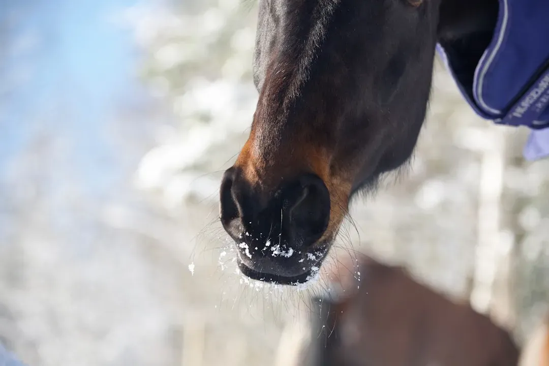 #7 - They Blow Warm Air Softly Into Your Face or Cupped Hands (Image Credits: Unsplash)