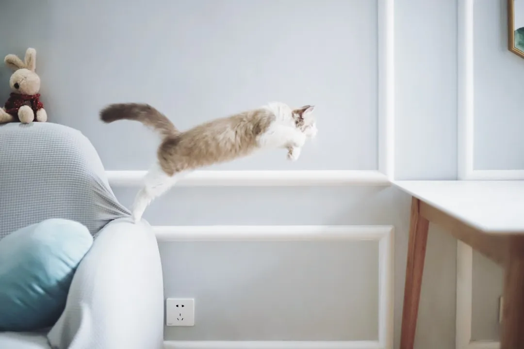 #9 - Slower Movements and "Missed Jumps" You Laugh Off (Image Credits: Unsplash)