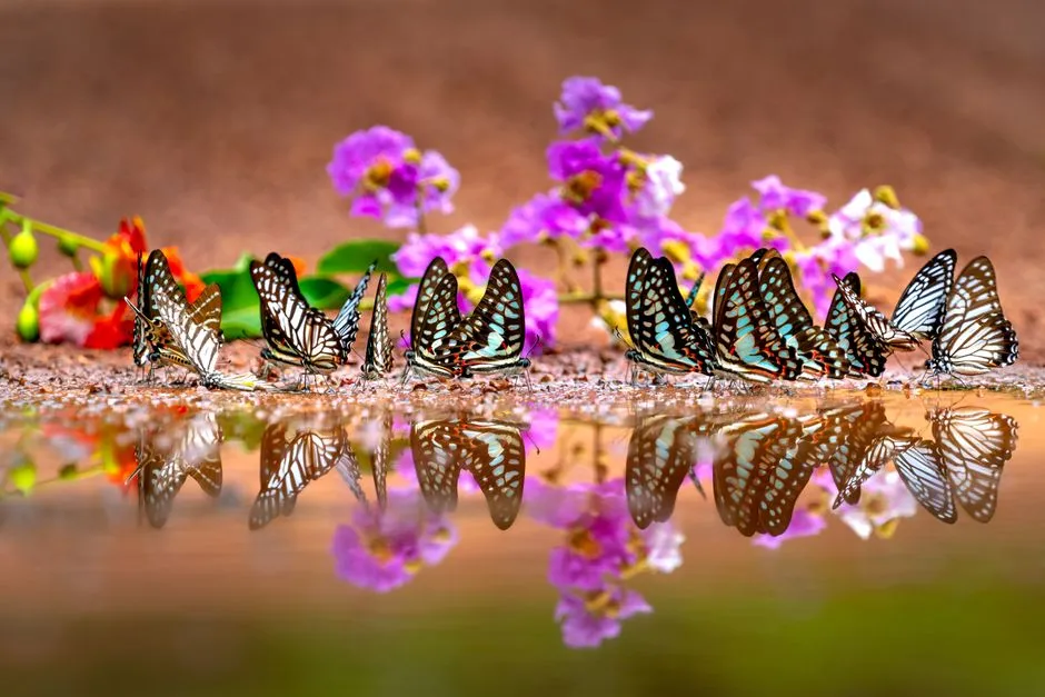 10. The Muddy Puddle Trick Serious Gardeners Swear By (Image Credits: Pexels)