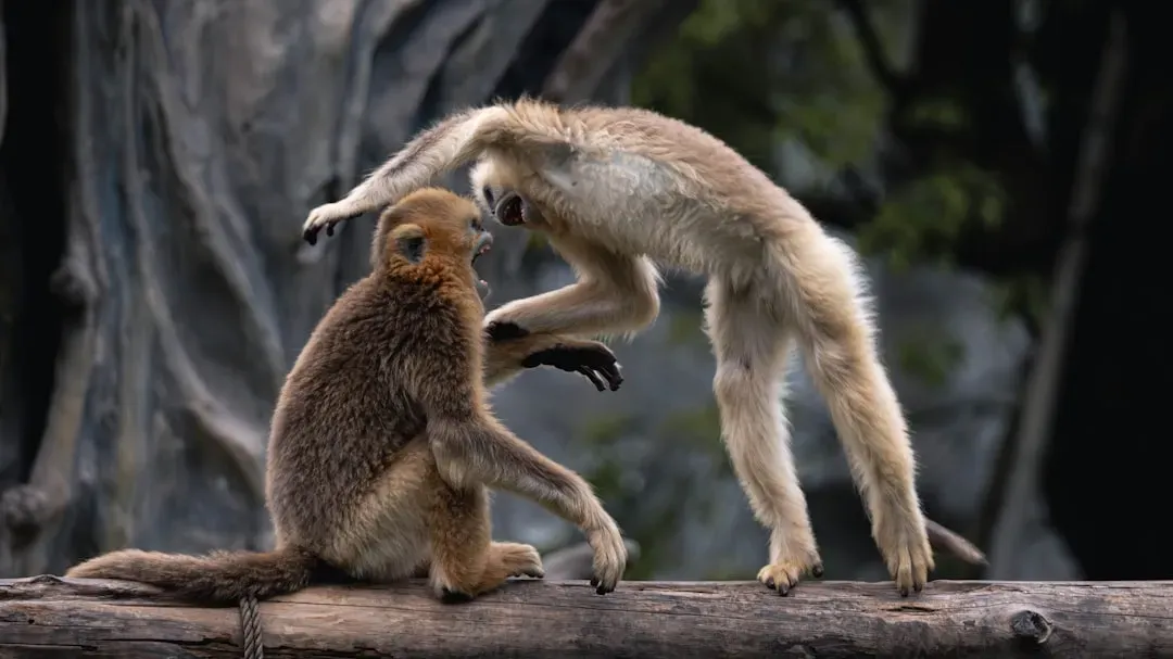 7. Mammals' Body Postures (Image Credits: Unsplash)