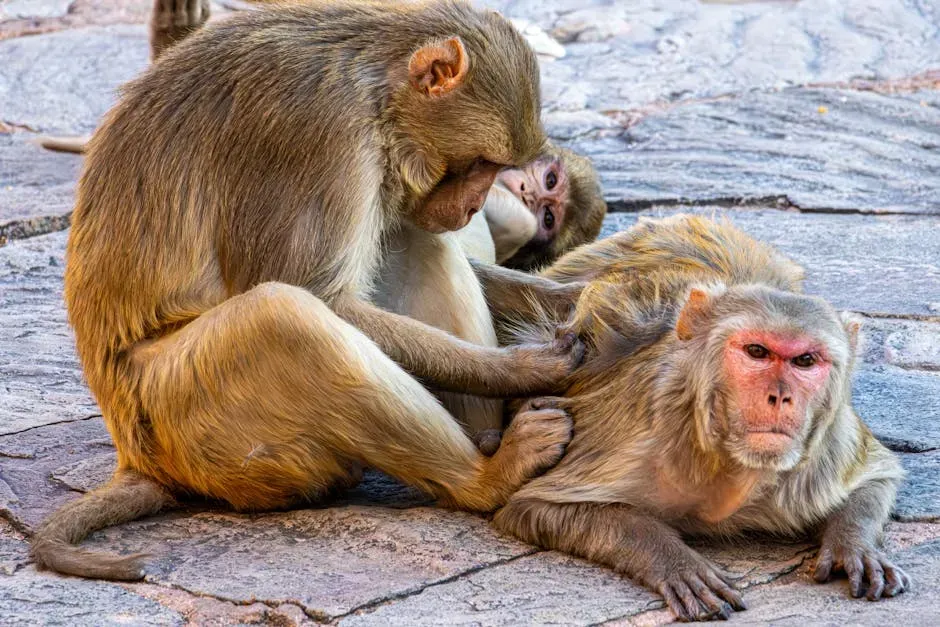 Understanding Animals Changes Everything (Image Credits: Pexels)