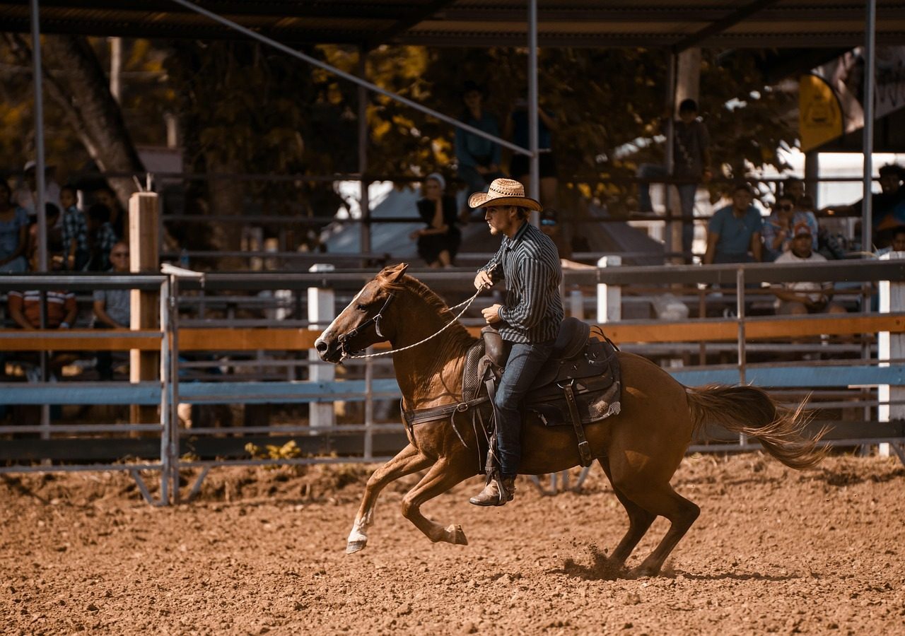 Cancer: The American Quarter Horse (Image Credits: Pixabay)