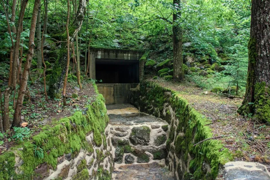 Innovative Architecture and Design (Image Credits: Pexels)