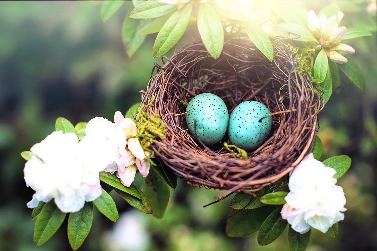 Reason 2: They Remember Good Territories and Show Strong Site Fidelity (Image Credits: Pixabay)