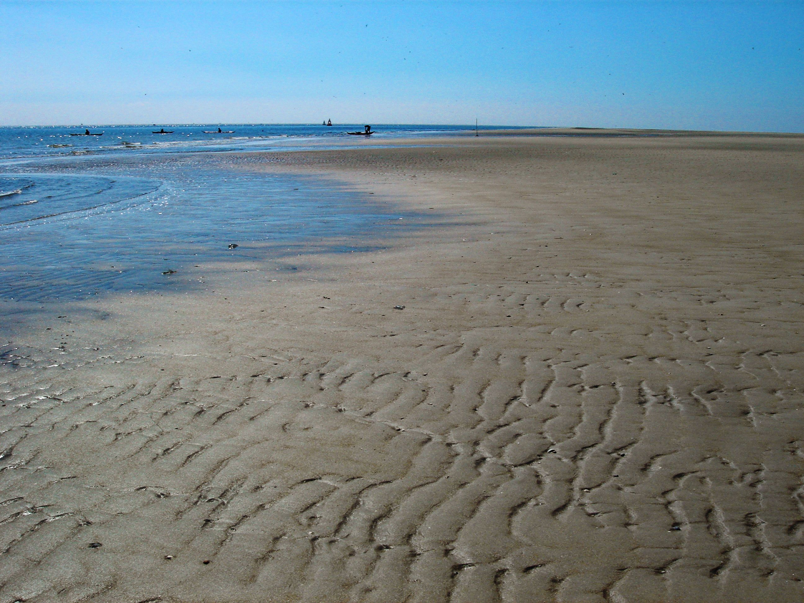 Deadly Heat Waves That Cook Everything (Image Credits: Wikimedia)