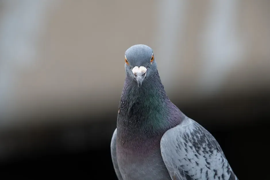 Introduction (Image Credits: Pexels)