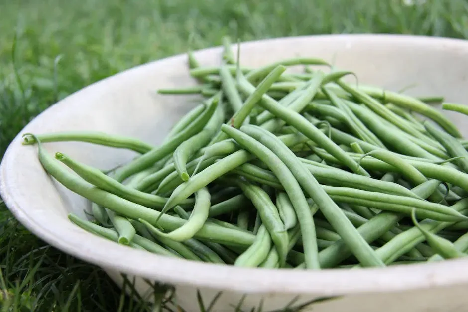 Green Beans for Low Calorie Volume (Image Credits: Pexels)