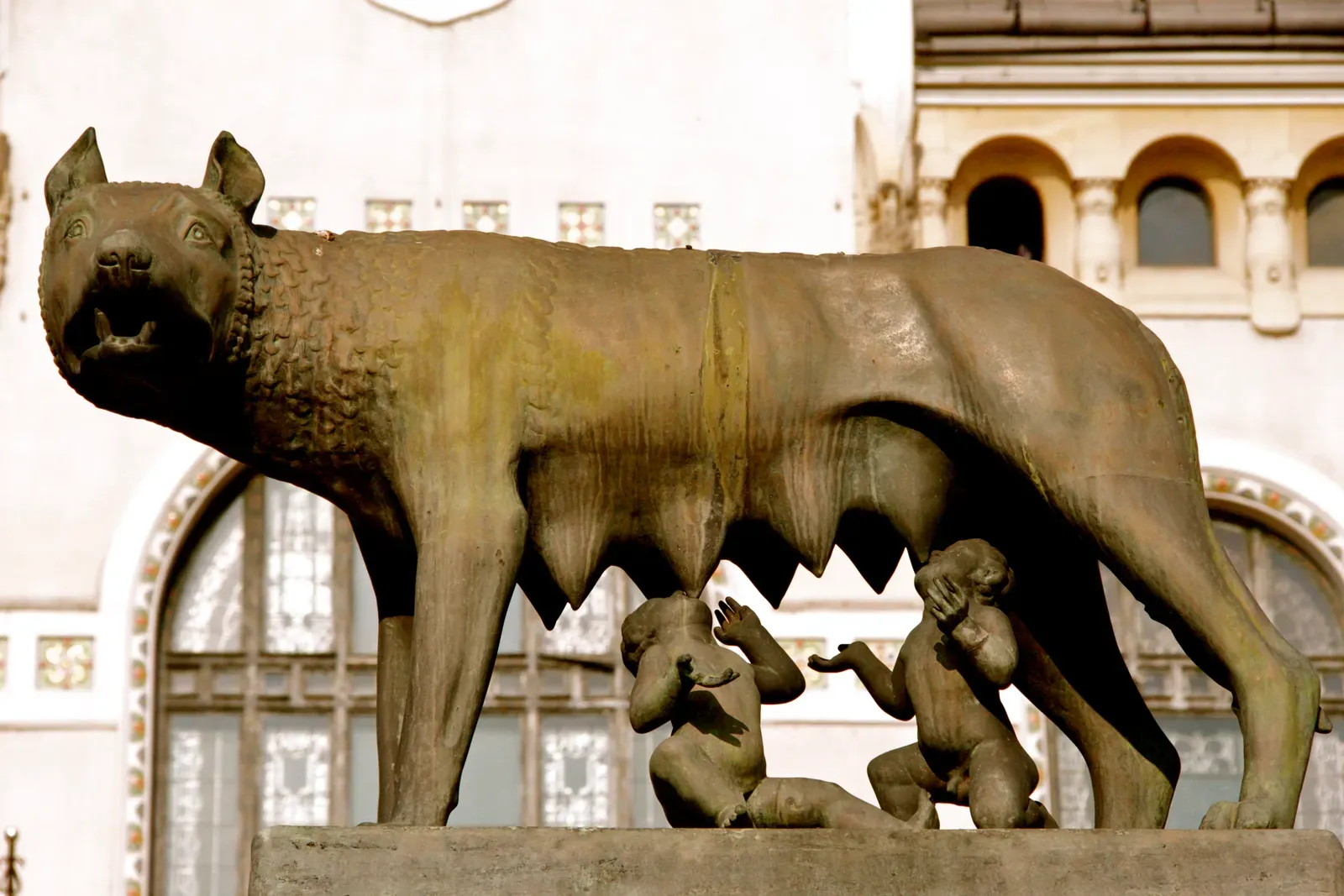Why Animals? The Deep Human Need to See Wisdom in Nature (Image Credits: Wikimedia)