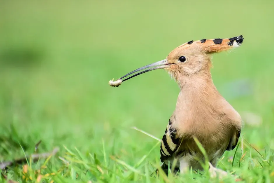 7. Go Pesticide-Free in Your Garden (Image Credits: Pexels)