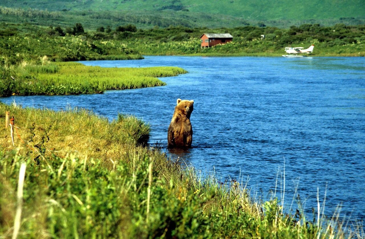 Katmai National Park, Alaska (Image Credits: Pixabay)