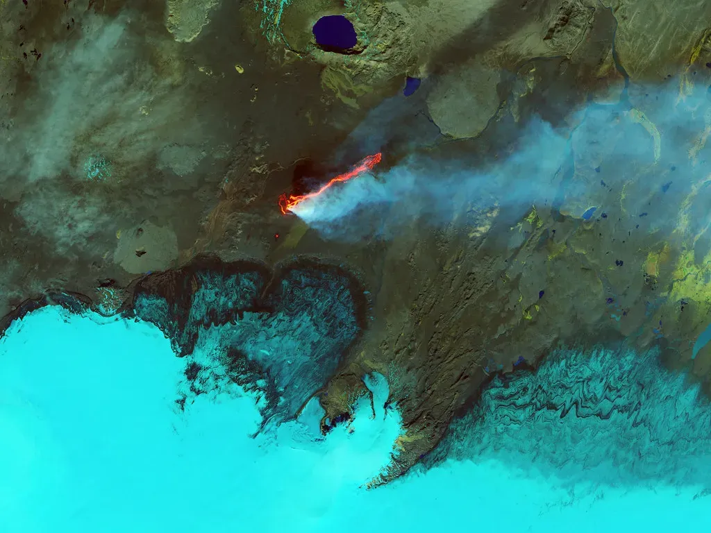 The Ocean Feels It First: Impact on Marine Life and Ecosystems (NASA Goddard Photo and Video, Flickr, CC BY 2.0)