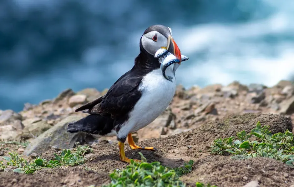How Many Fish Can One Beak Actually Hold (Image Credits: Pexels)