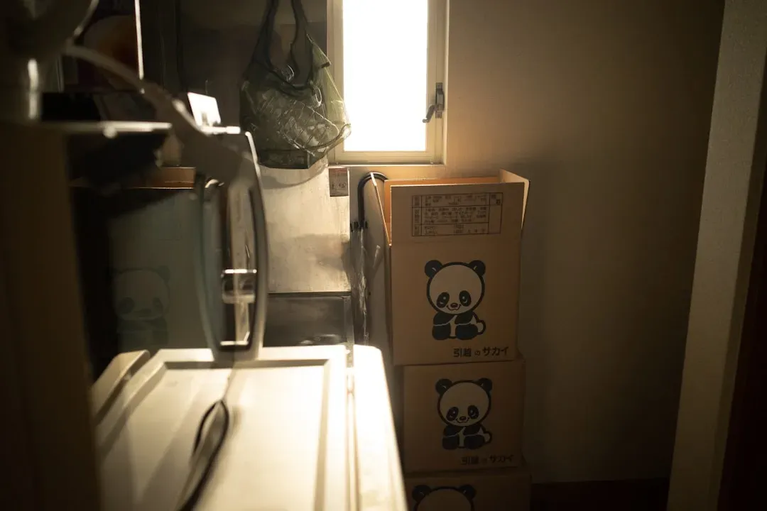 Cardboard and Paper Products in Storage Areas (Image Credits: Unsplash)