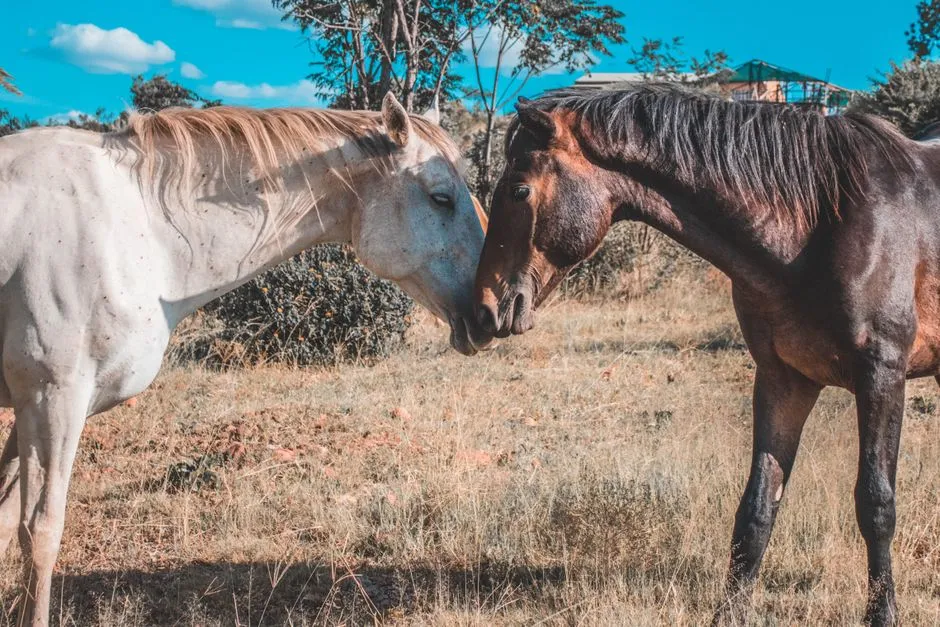 #5 - They Tolerate Your Mistakes&hellip; and Still Try to Understand (Image Credits: Pexels)