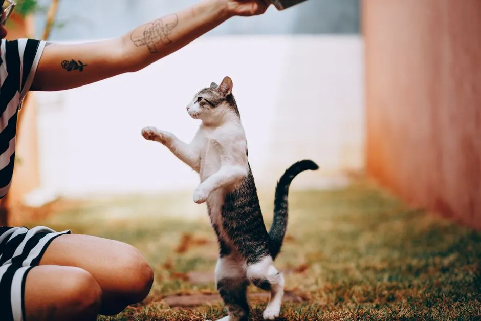 How You React When They Communicate (Image Credits: Pexels)