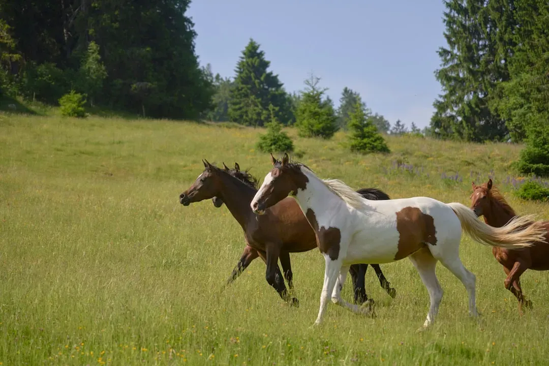 The Horse: The Tiger's Most Electric Match (Image Credits: Unsplash)