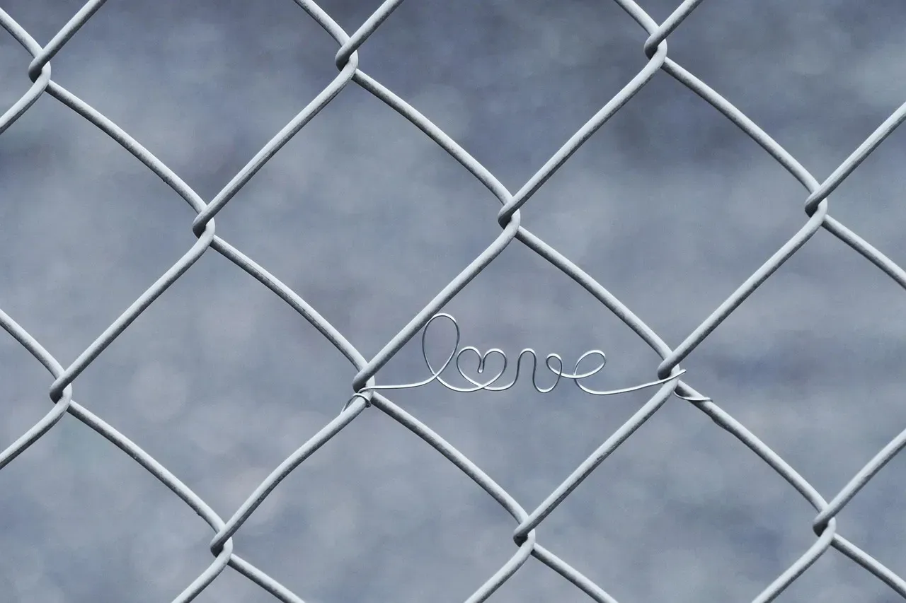 #7: Cover Individual Plants with Wire Cloches or Mesh Cages (Image Credits: Pixabay)