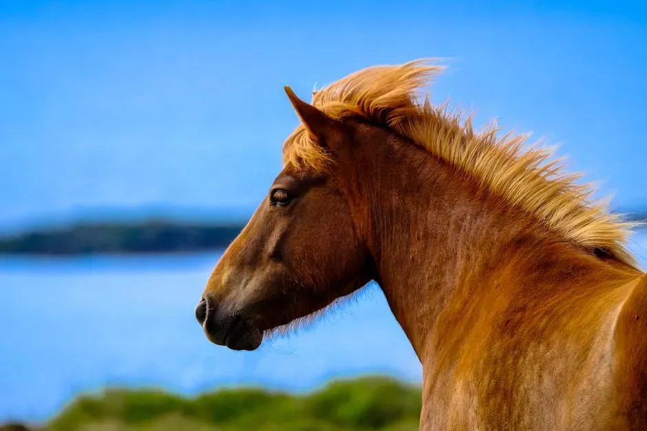 Introduction (Image Credits: Pexels)