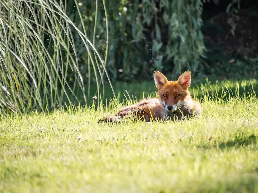 #4. They Use Earth's Magnetic Field as a Hunting Targeting System (Image Credits: Pexels)