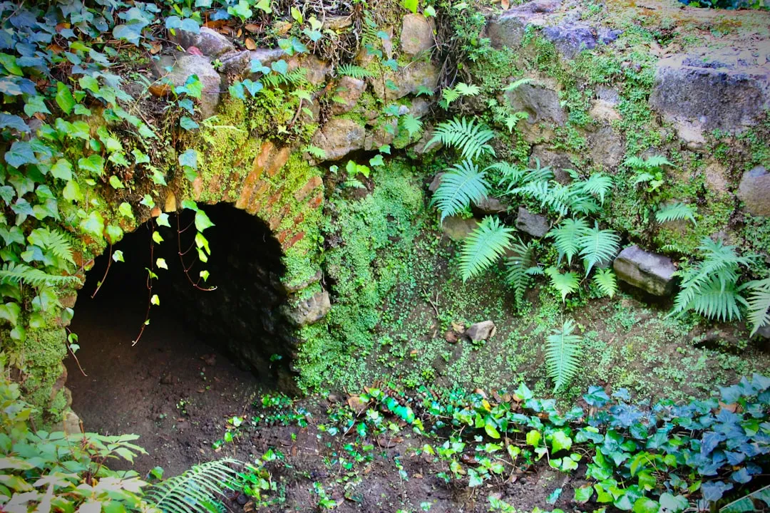 Preservation and Public Access (Image Credits: Unsplash)