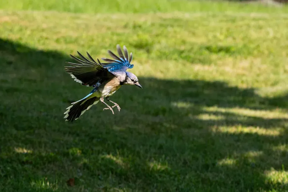 Dive Bombing Predators (Image Credits: Pexels)