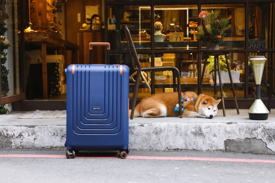 #15 - "Leaving for Good" vs. "Just Stepping Out" (Image Credits: Pexels)