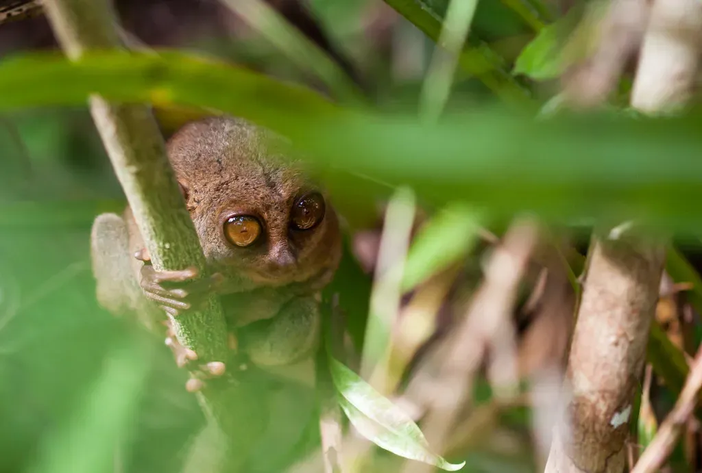 9. Their Social Lives Are Surprisingly Complex and Varied (Image Credits: Flickr)
