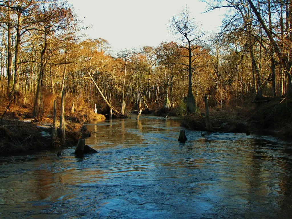 #6 Supporting Biodiversity That Stabilizes Ecosystems (Gerry Dincher, Flickr, CC BY-SA 2.0)