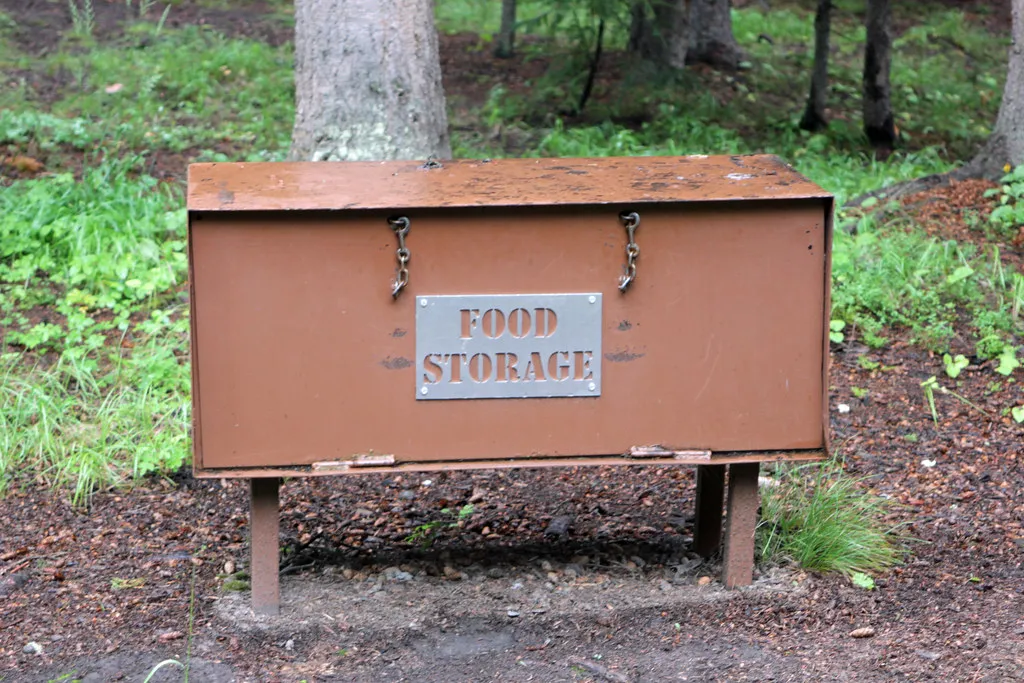 Proper Food Storage Deters Wildlife Encounters (Image Credits: Flickr)