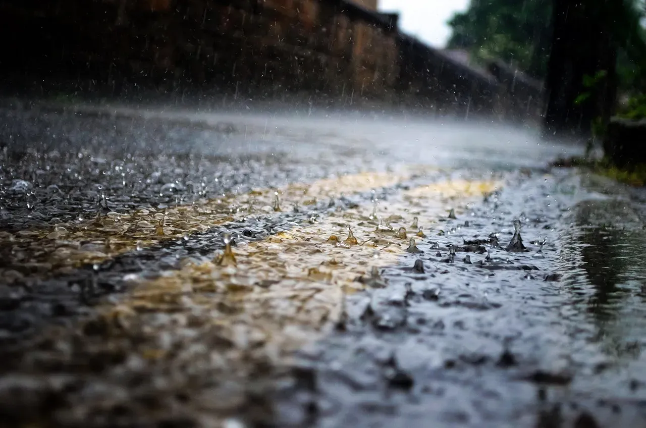 Allowing Warm, Humid Indoor Conditions to Build Up (Image Credits: Pixabay)