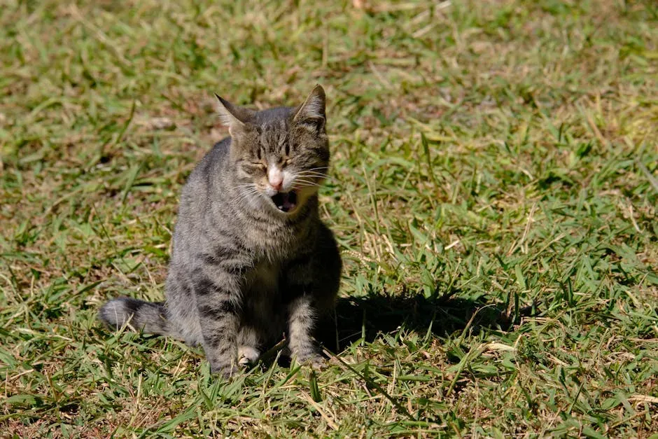 The Raspy Wheeze That Replaces Normal Breathing Sounds (Image Credits: Pexels)
