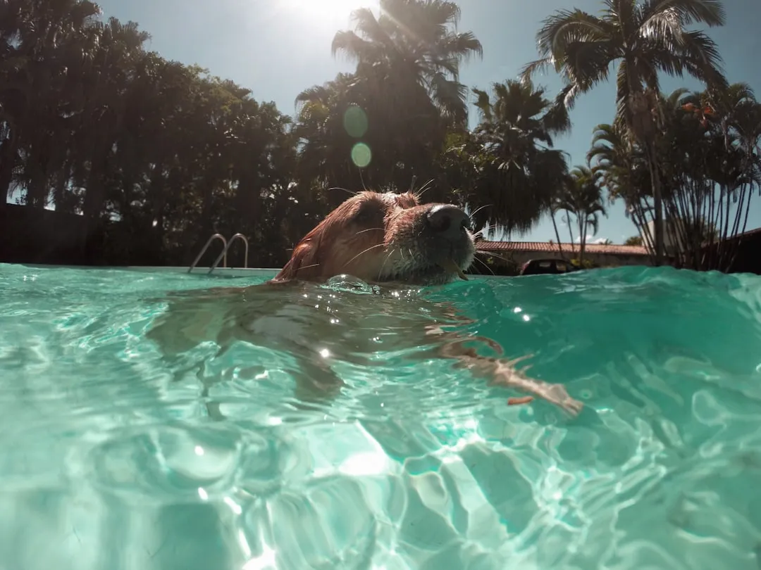 5. Rethink Mealtimes During a Heatwave (Image Credits: Unsplash)