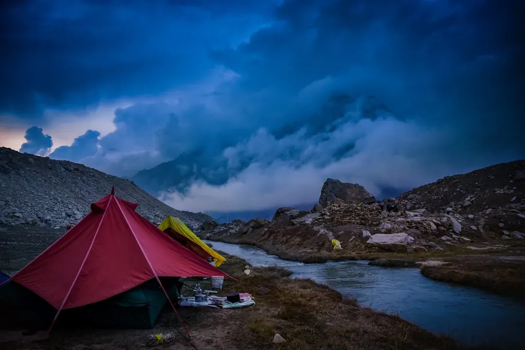 #5. They Are Unusually Good at Adapting (Image Credits: Unsplash)
