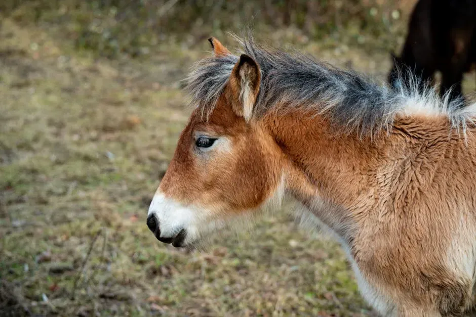 The Unlikely Residents of a Nuclear Wasteland (Image Credits: Pexels)