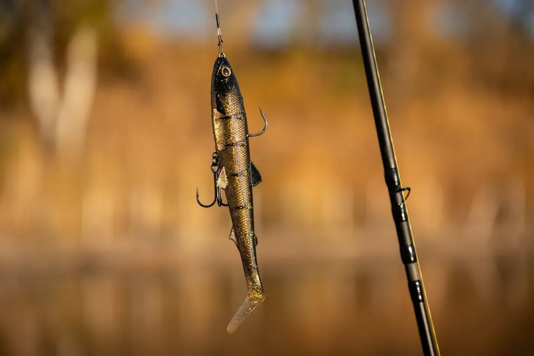 Use the Right Bait for Your Target Species (Image Credits: Unsplash)